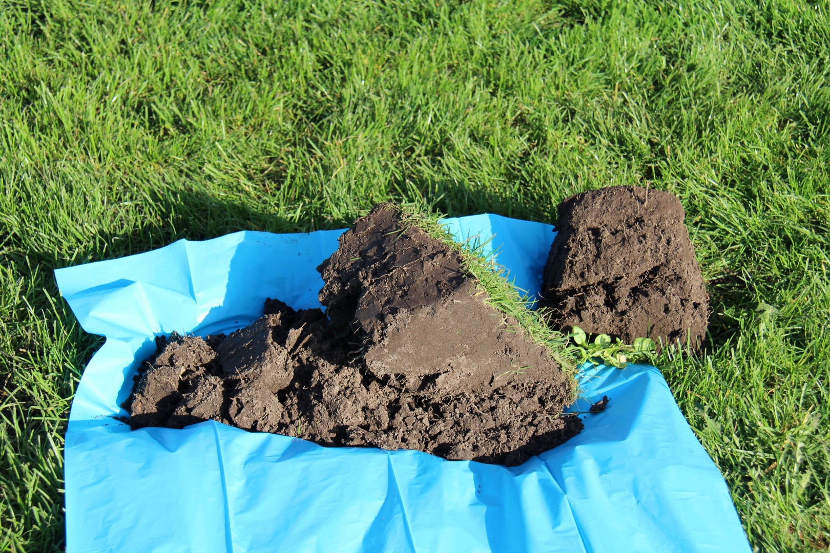 Foto bij  Persbericht Grondmonster  NFW toont gezonde bodem in Kollumerzwaag (Large)